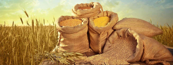 grading-plant-manufacturer